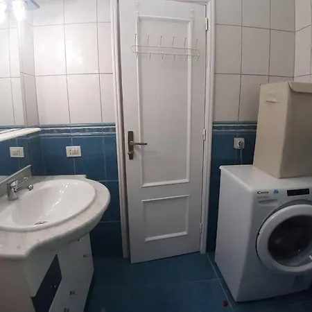 Cactus Ii Cristianos