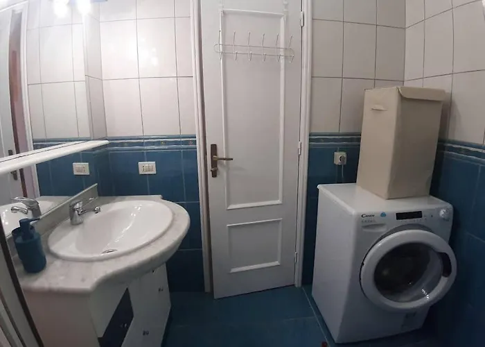 Cactus Ii Cristianos